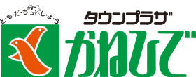 タウンプラザかねひで